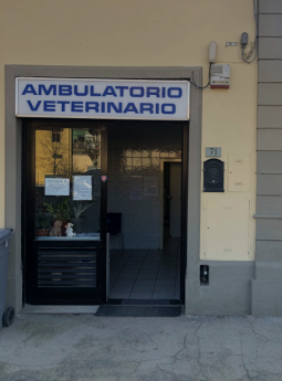 ambulatorio veterinario greve foto web 6