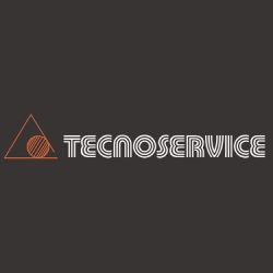 Tecnoservice logo