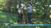Droni e cani molecolari: ecco il lavoro del pet detective