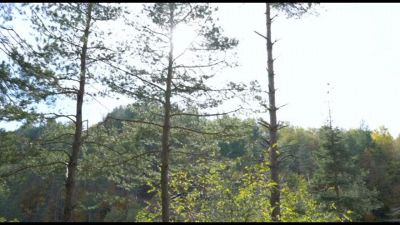 Nutrizionista: in montagna serve merenda adeguata a dispendio energie