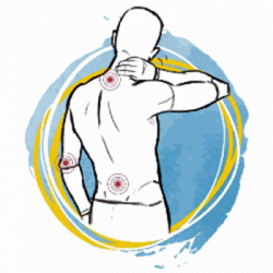 Marco Nodari logo