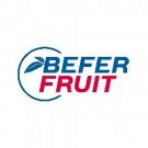 Befer Fruit