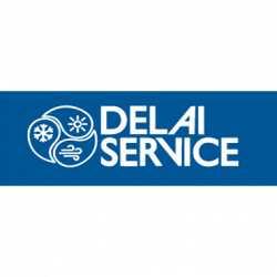 Delai Service logo