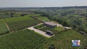 Gusto di Vino - Vitigni d'Abruzzo