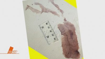 Delitto di Garlasco: l'impronta 33