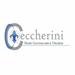 Centro contabile Ceccherini & Partners logo