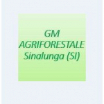 Gm Agriforestale
