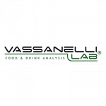 Vassanelli Lab
