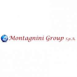 Montagnini Group di Montagnini Fabrizio logo