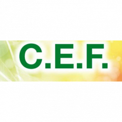 C.E.F. srl logo
