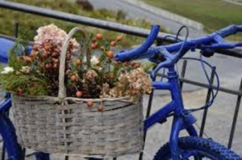 locanda rubiola bicicletta fiori
