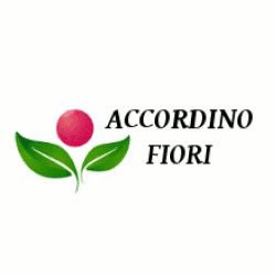 Accordino Fiori logo