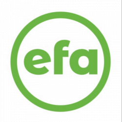 Efa Materiale Elettrico e Illuminazione logo