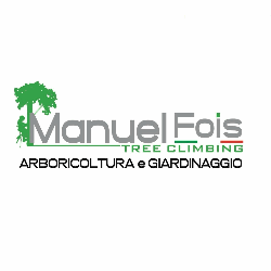 Manuel Fois logo