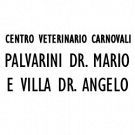 Centro Veterinario Carnovali