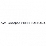 Pucci Baudana Avv. Giuseppe