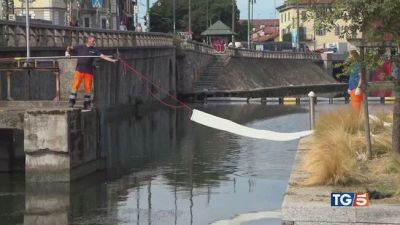 Gasolio nel Naviglio, possibile atto doloso