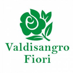 Valdisangro Fiori logo