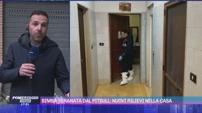 Bimba sbranata dal pitbull: nuovi rilievi nella casa