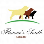 Flower's South