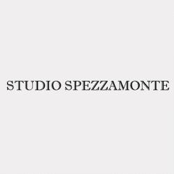 Studio Spezzamonte logo
