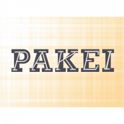 Pakei S.r.l logo