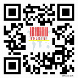 Boldini S.r.l.s. logo