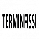 Terminfissi