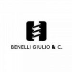 Benelli Giulio