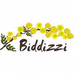 Biddizzi logo