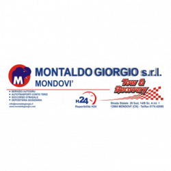 Montaldo Giorgio logo