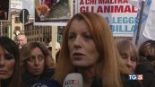 Violenze su animali ora pene più severe