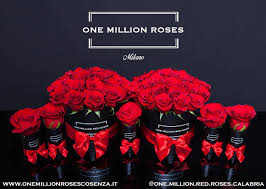 ONE MILLION RED ROSES MILANO BOX ROSE FRESCHE