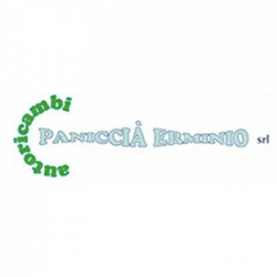 Autoricambi Paniccia' Erminio logo