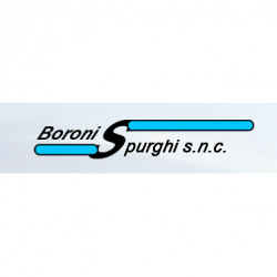 Boroni Spurghi Fognature logo