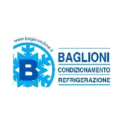 Baglioni S.r.l. logo