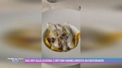 Dal set alla cucina: i vip che hanno aperto un ristorante
