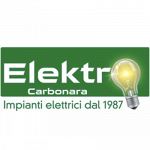 Elektro Carbonara