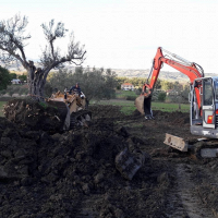 RASETTA SCAVI DI MATTIA RASETTA foto web 2