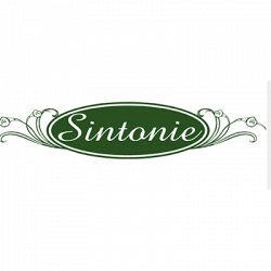 Sintonie logo