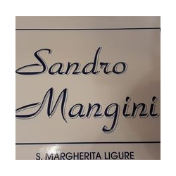 Mangini Alessandro Calzature e Pelletteria logo
