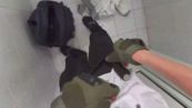 Prof accoltellata, caccia a chi ha diffuso il video dello studente
