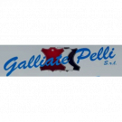 Galliate Pelli