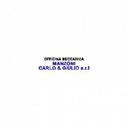 Manzoni Carlo e Giulio logo