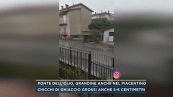 Ponte dell'Olio, grandine anche nel piacentino