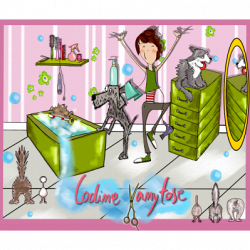 Codine Vanitose logo