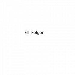 F.lli Folgoni - Produzione Filtri logo