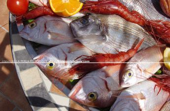Ristorante La Perla  piatti di pesce