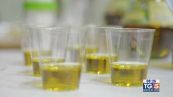 Gusto di Vino: Evolio expo 2025