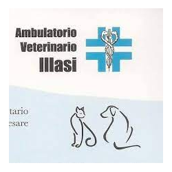 Ambulatorio Veterinario Artemide logo
